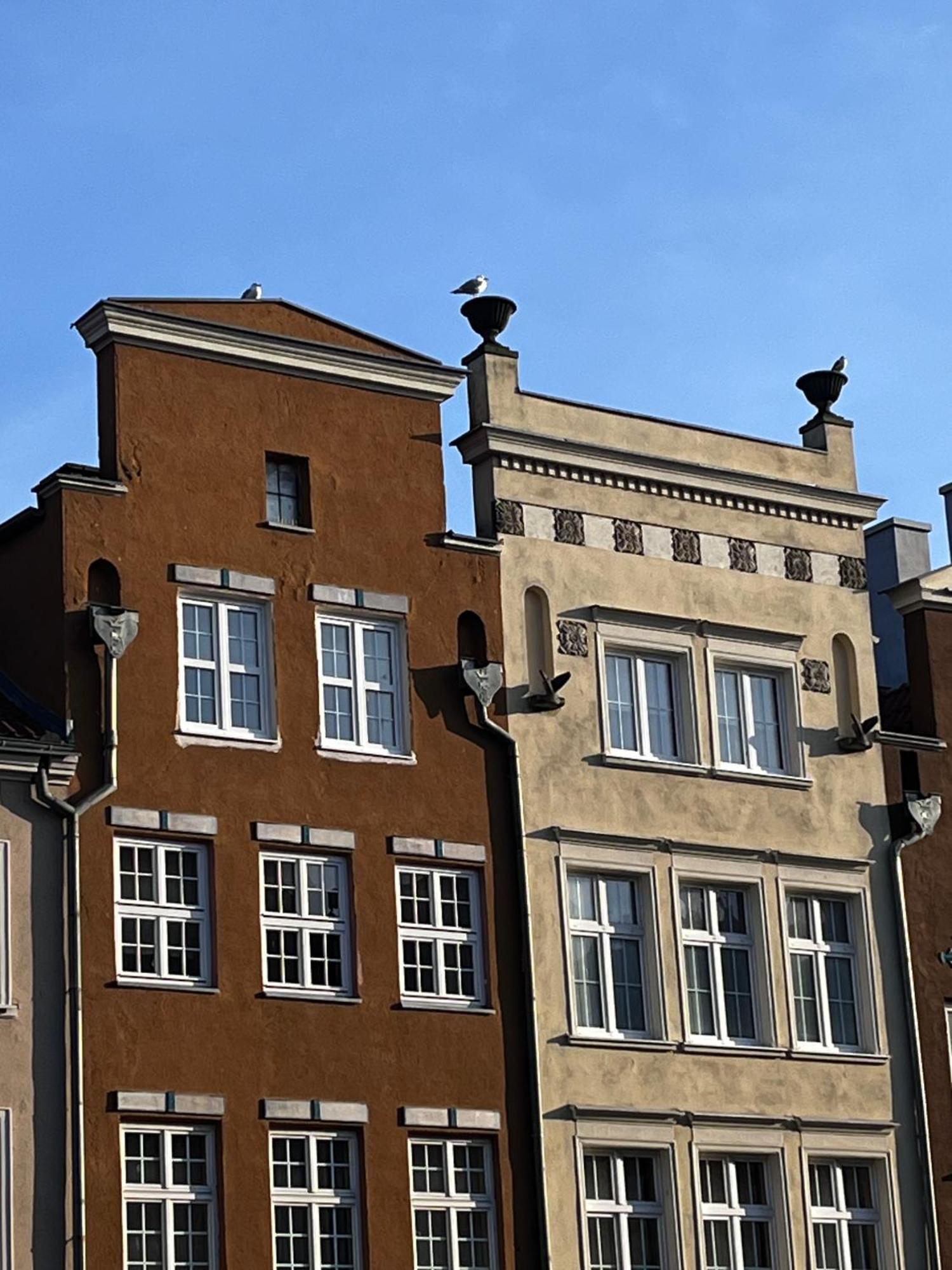 Grand Apartment - Old Town & City Center Gdańsk Exterior foto